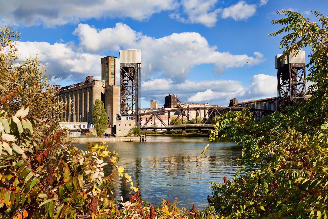 How Buffalo New York Is Handling The Rising Bedbug Crisis